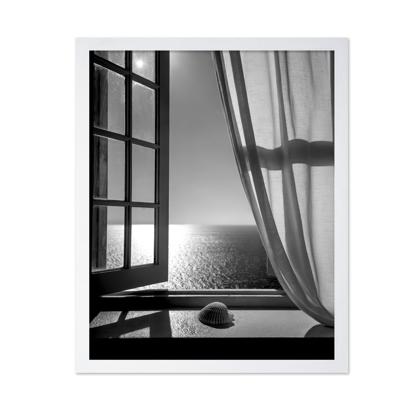 The Seashell In the Window