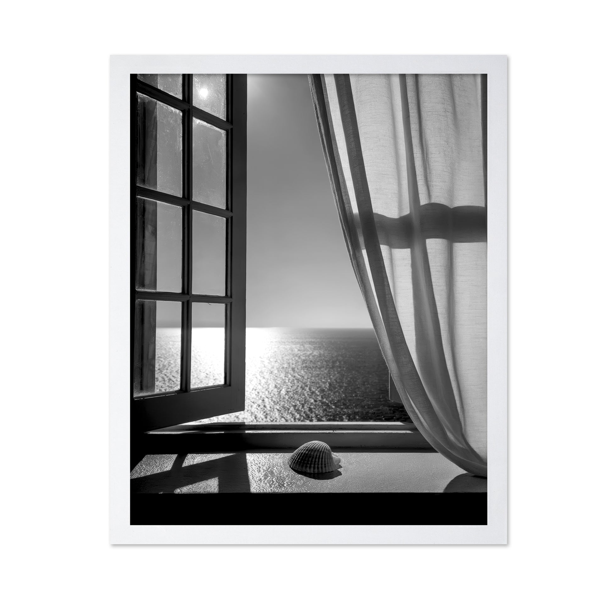 The Seashell In the Window