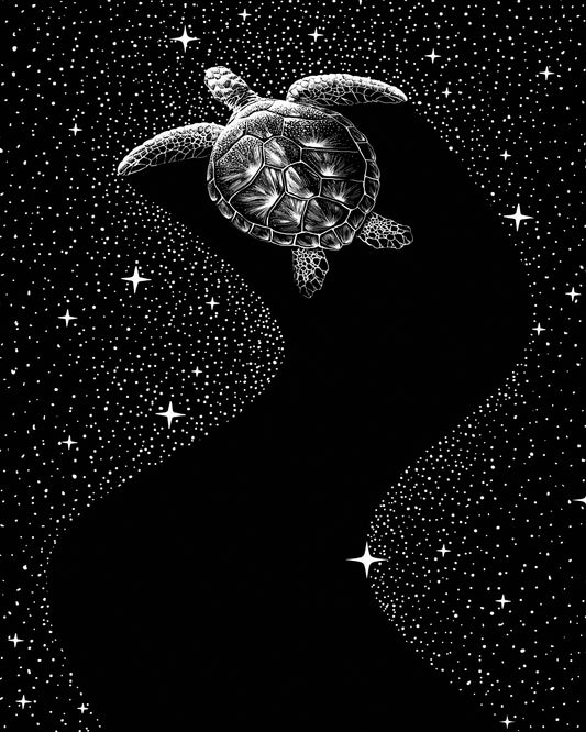 Starry Turtle