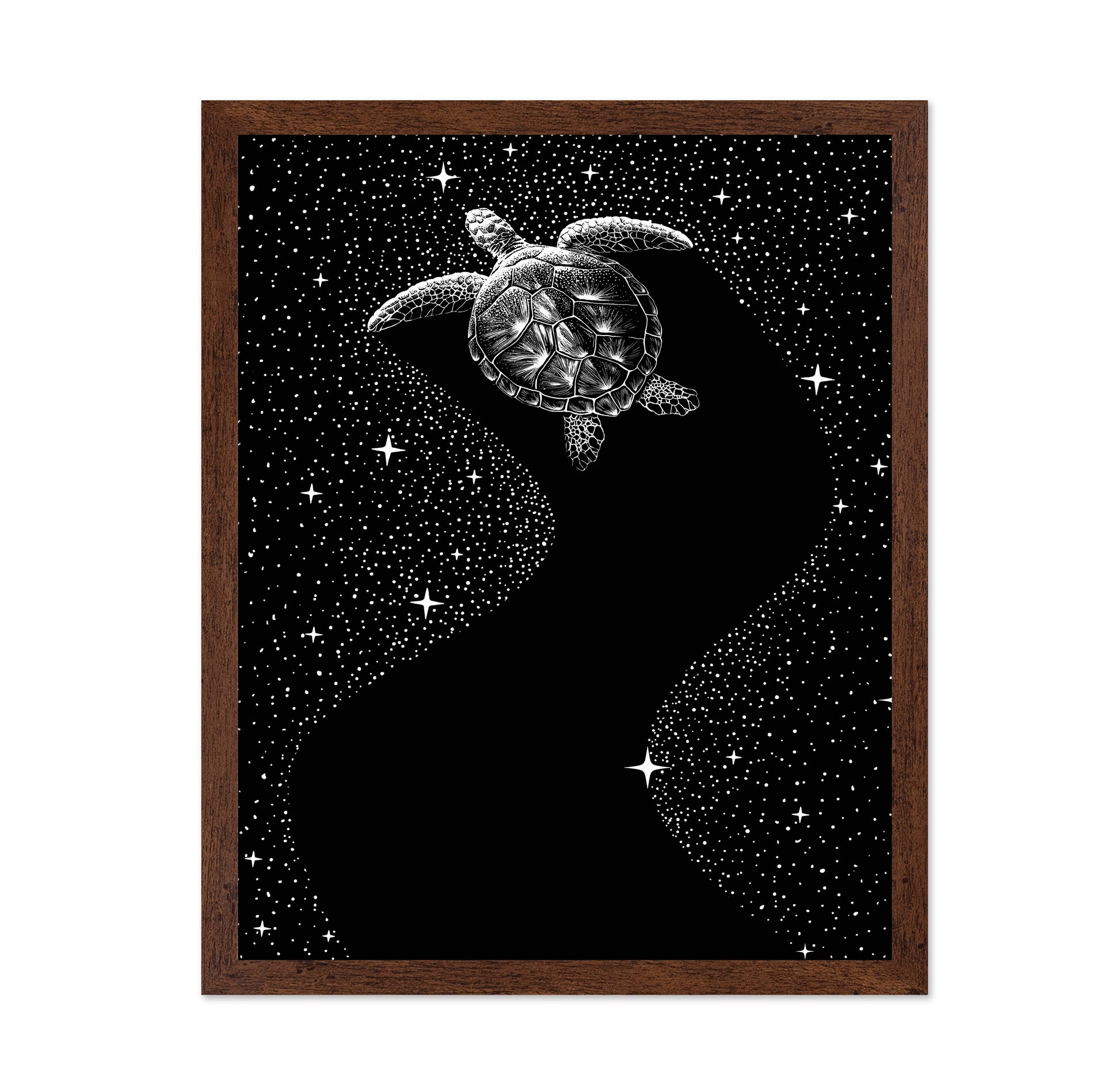 Starry Turtle