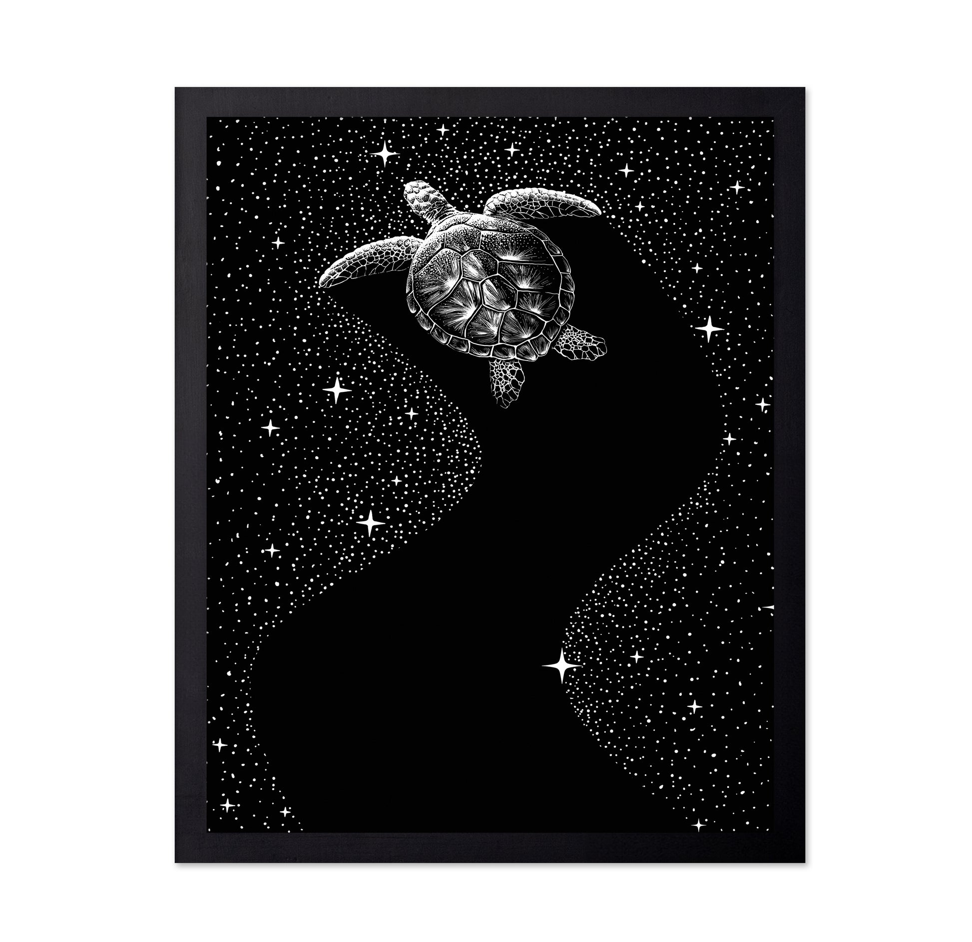 Starry Turtle