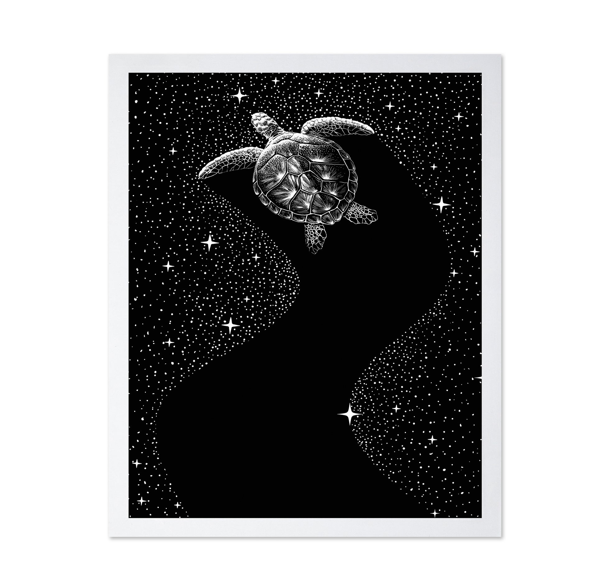 Starry Turtle