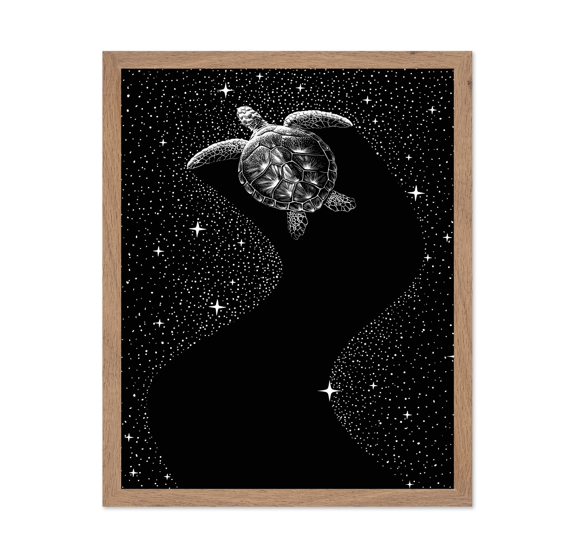 Starry Turtle
