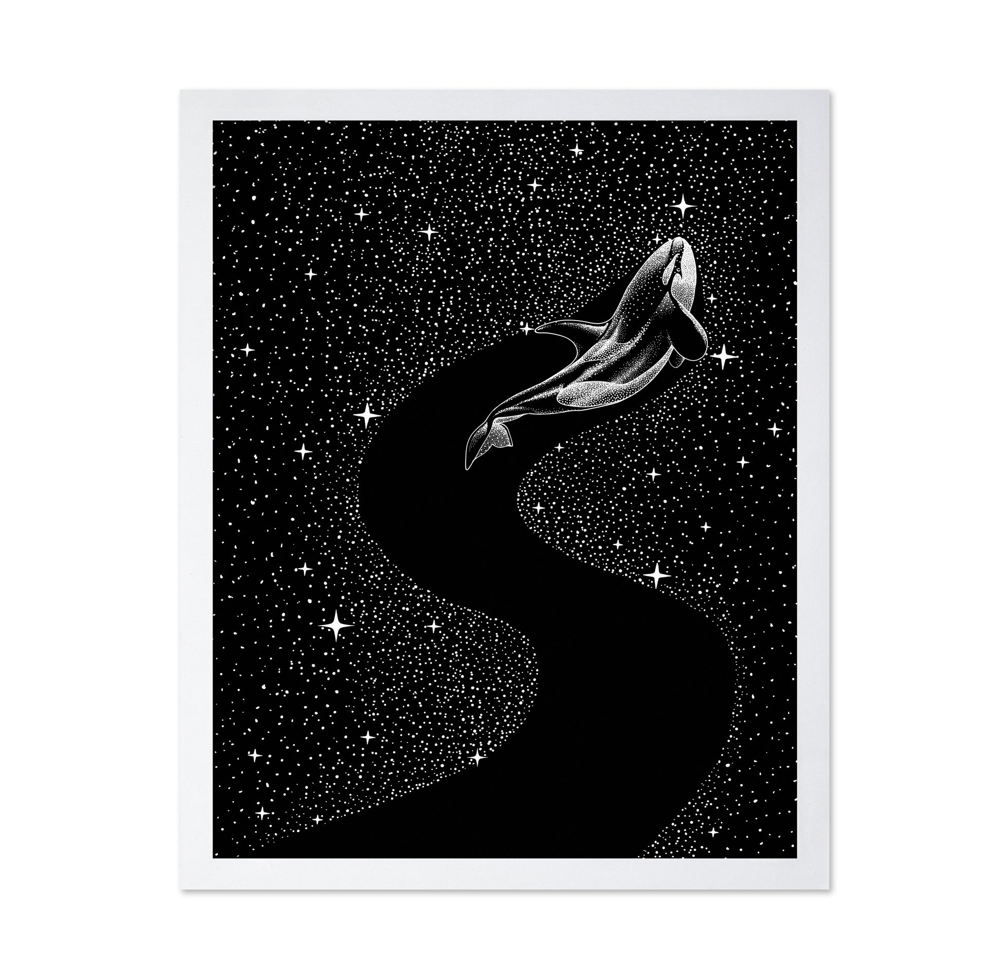 Starry Orca