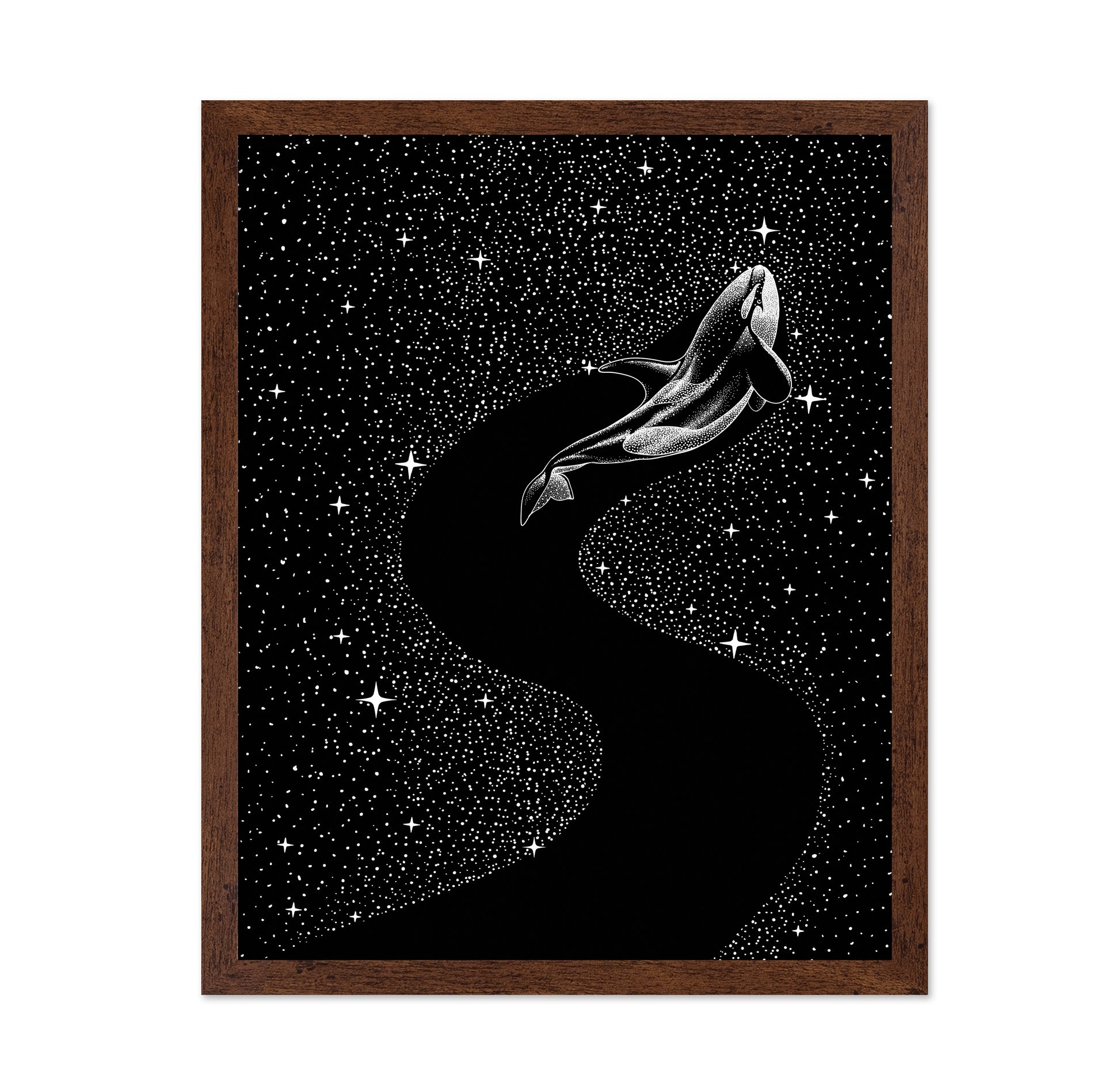Starry Orca