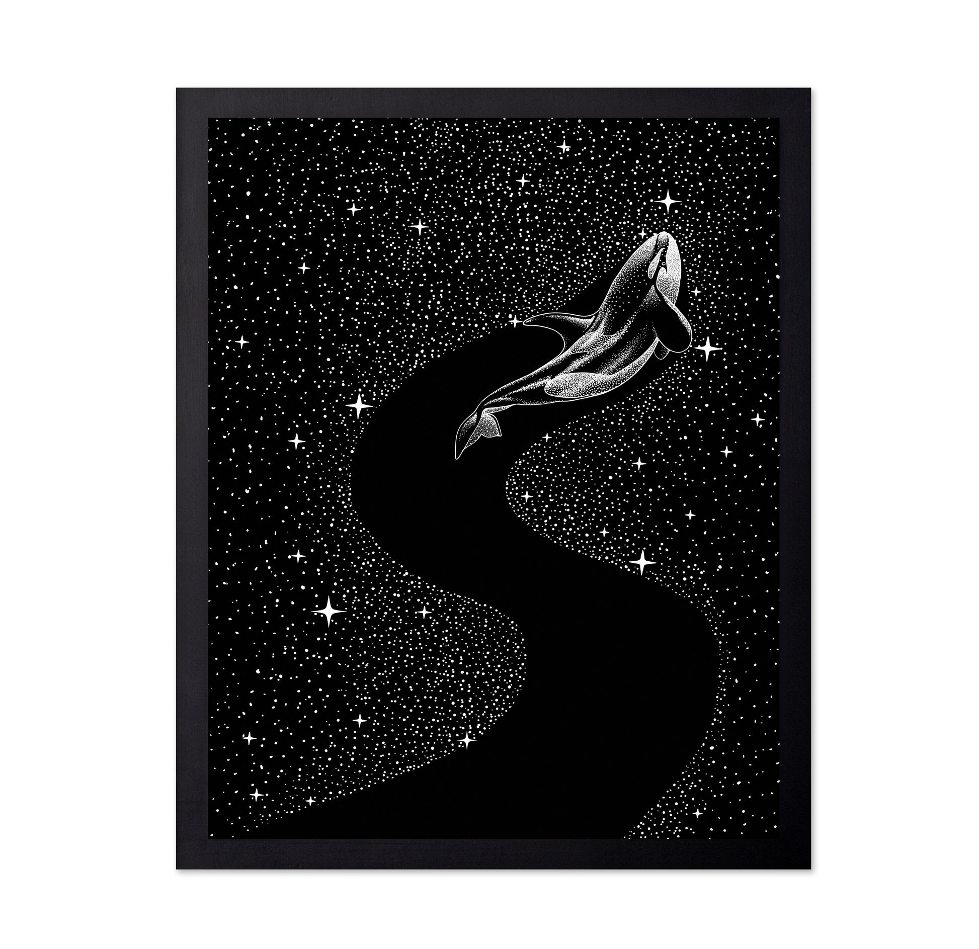 Starry Orca