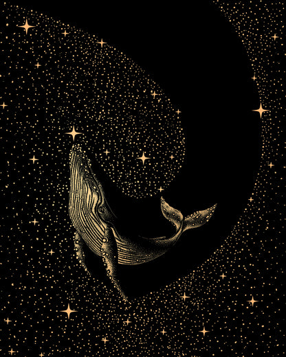 Starry Whale