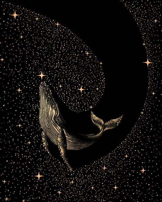 Starry Whale
