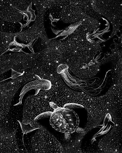 Cosmic Ocean