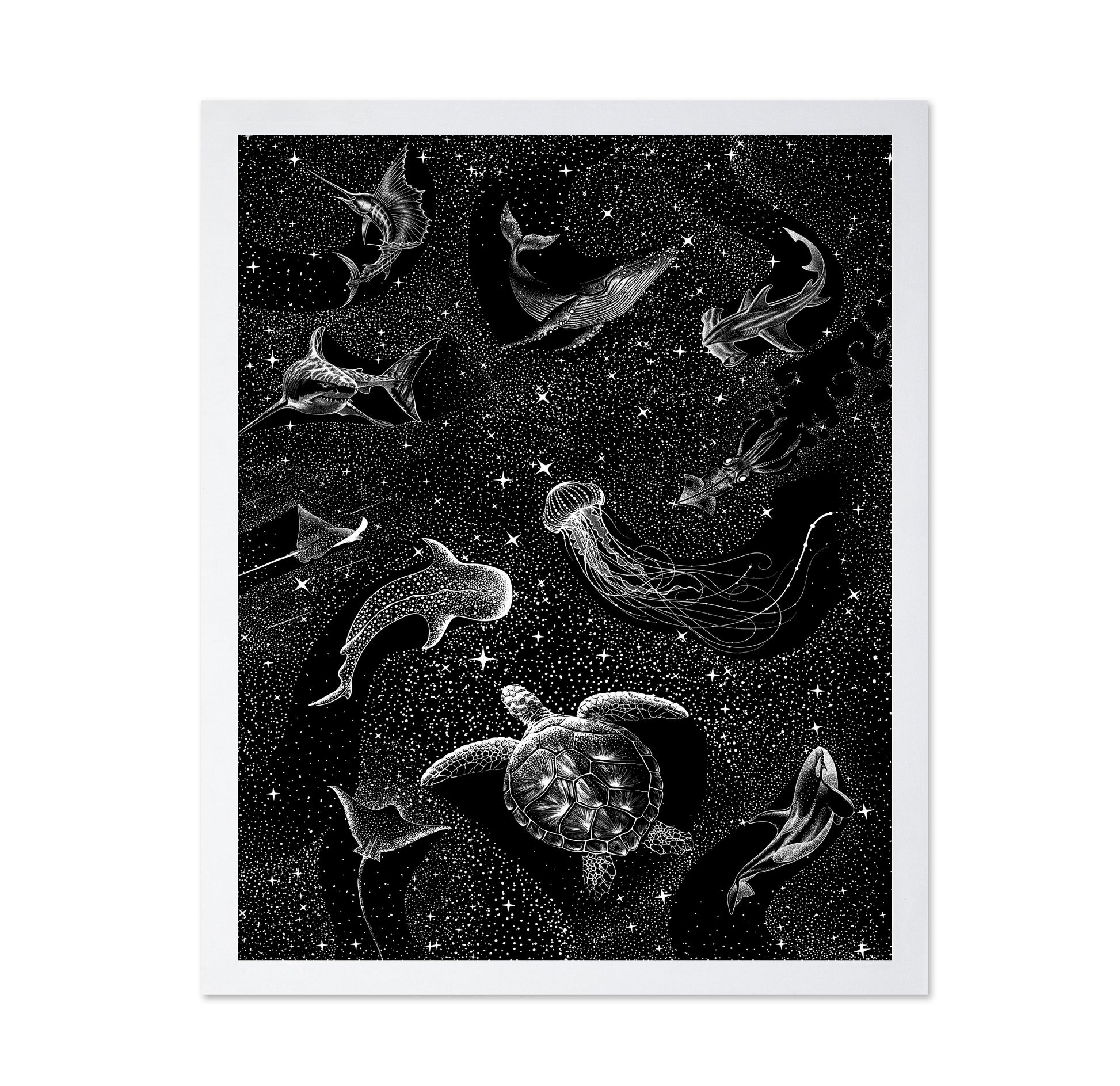 Cosmic Ocean