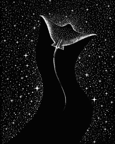 Star Collector