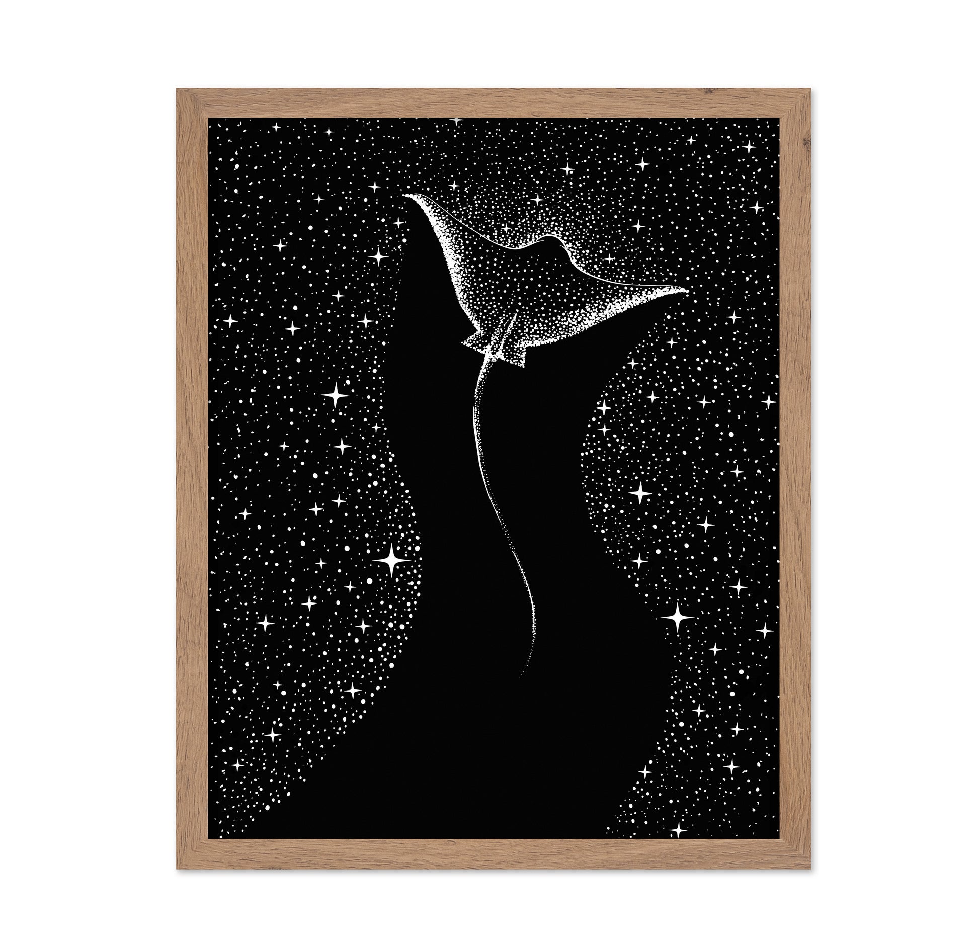Star Collector