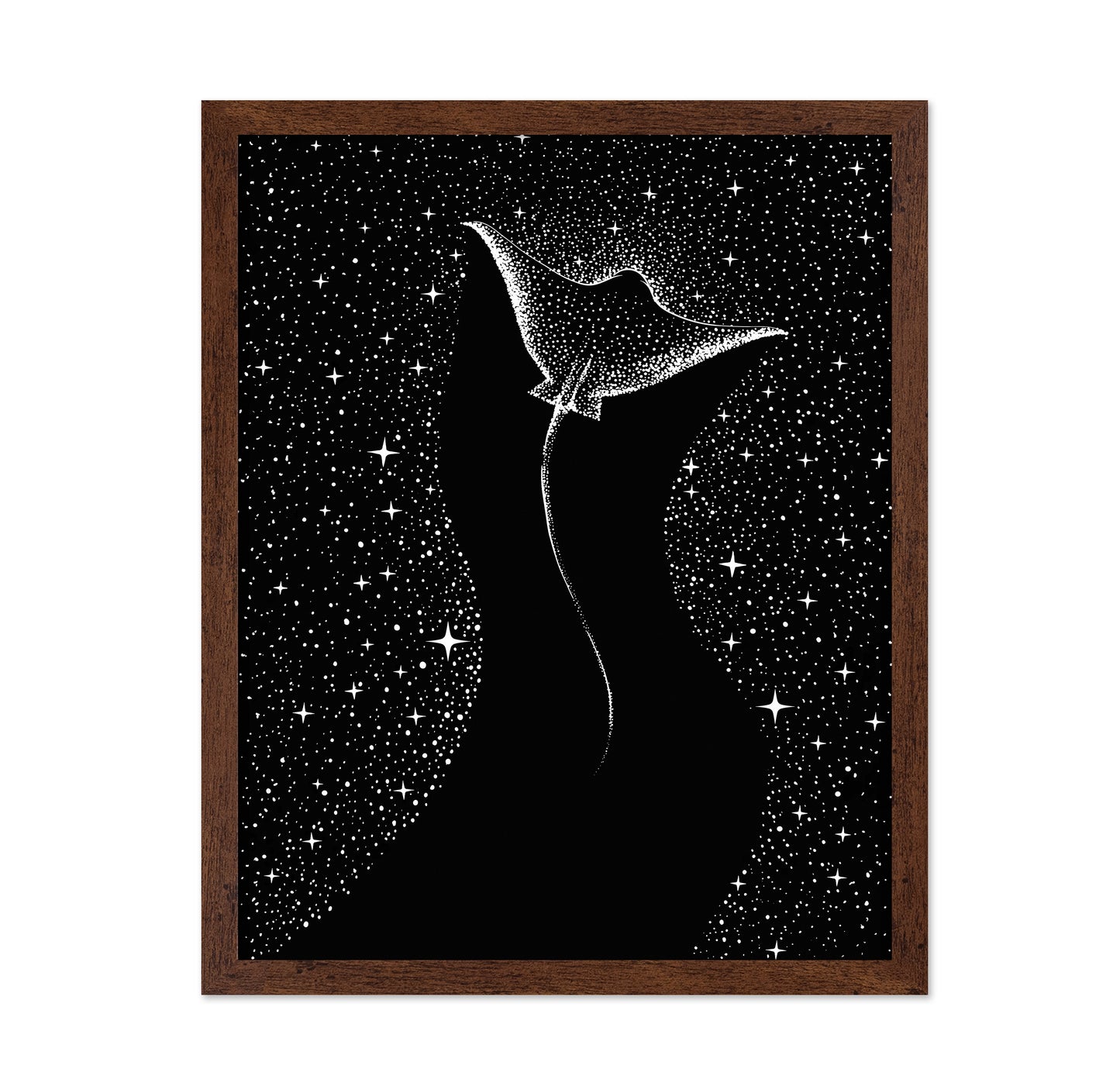 Star Collector