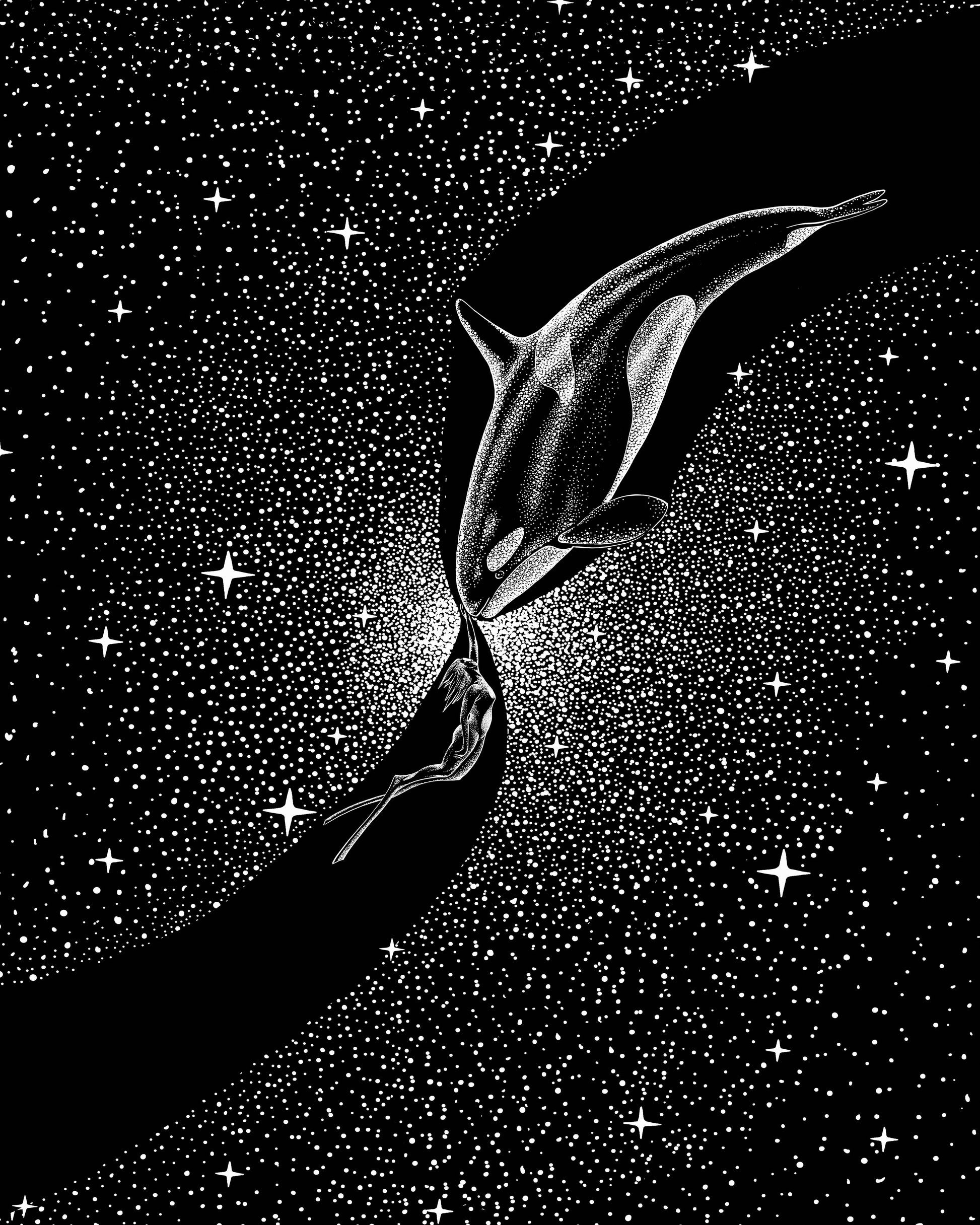 Orca and Diver