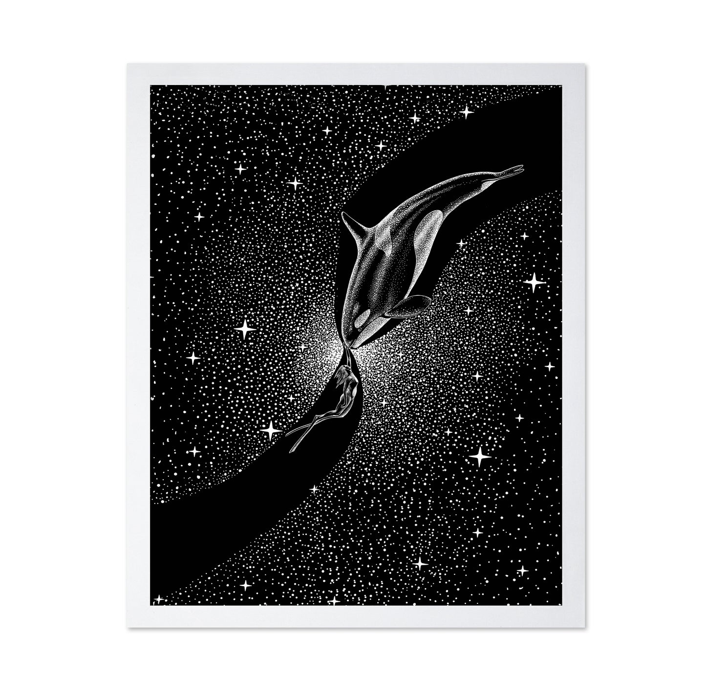 Orca and Diver