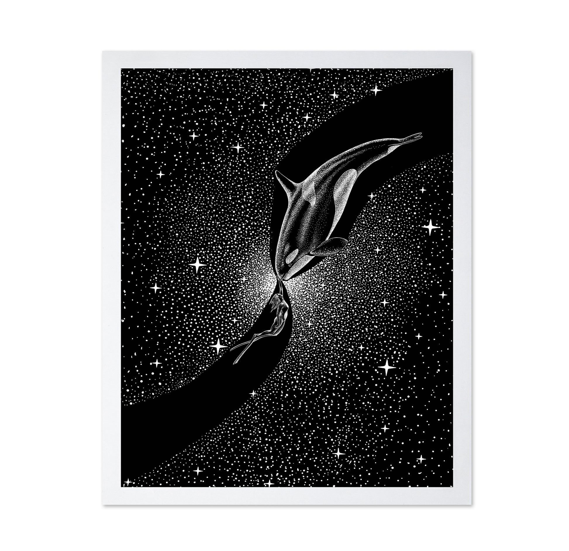Orca and Diver