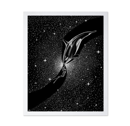 Orca and Diver