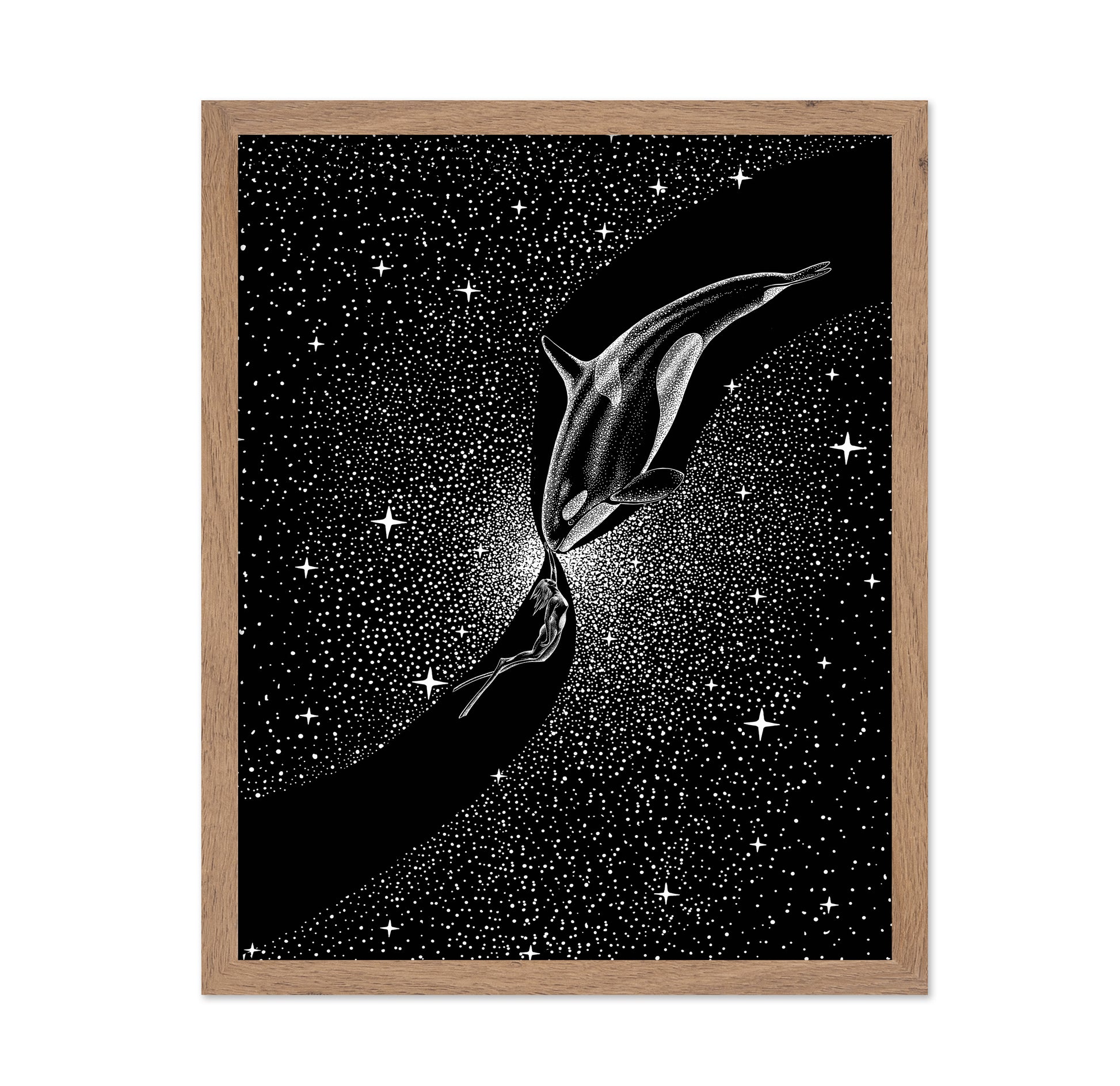 Orca and Diver