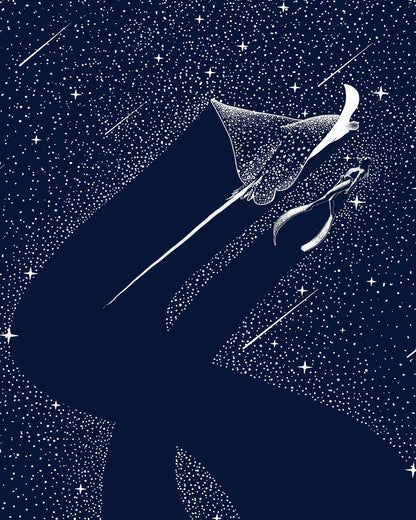 Star Collector and Diver No 2