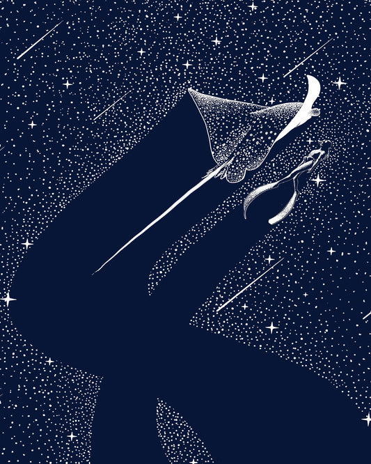 Star Collector and Diver No 2