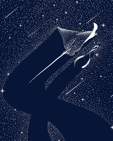 Star Collector and Diver No 2