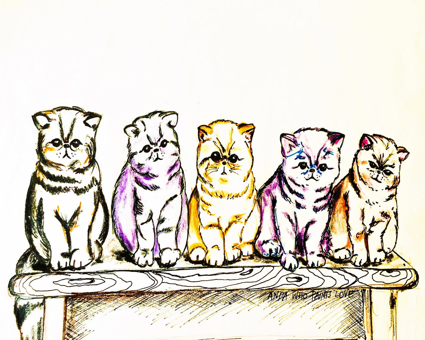 5 Cats
