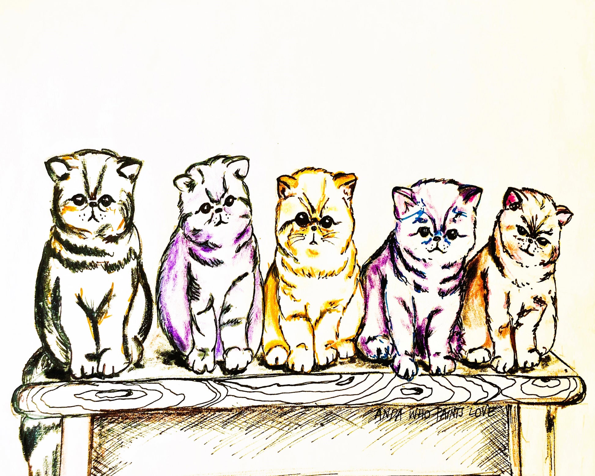 5 Cats