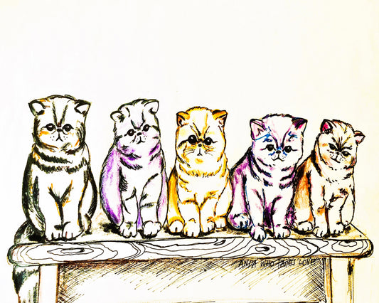 5 Cats