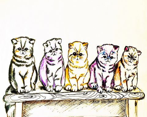5 Cats