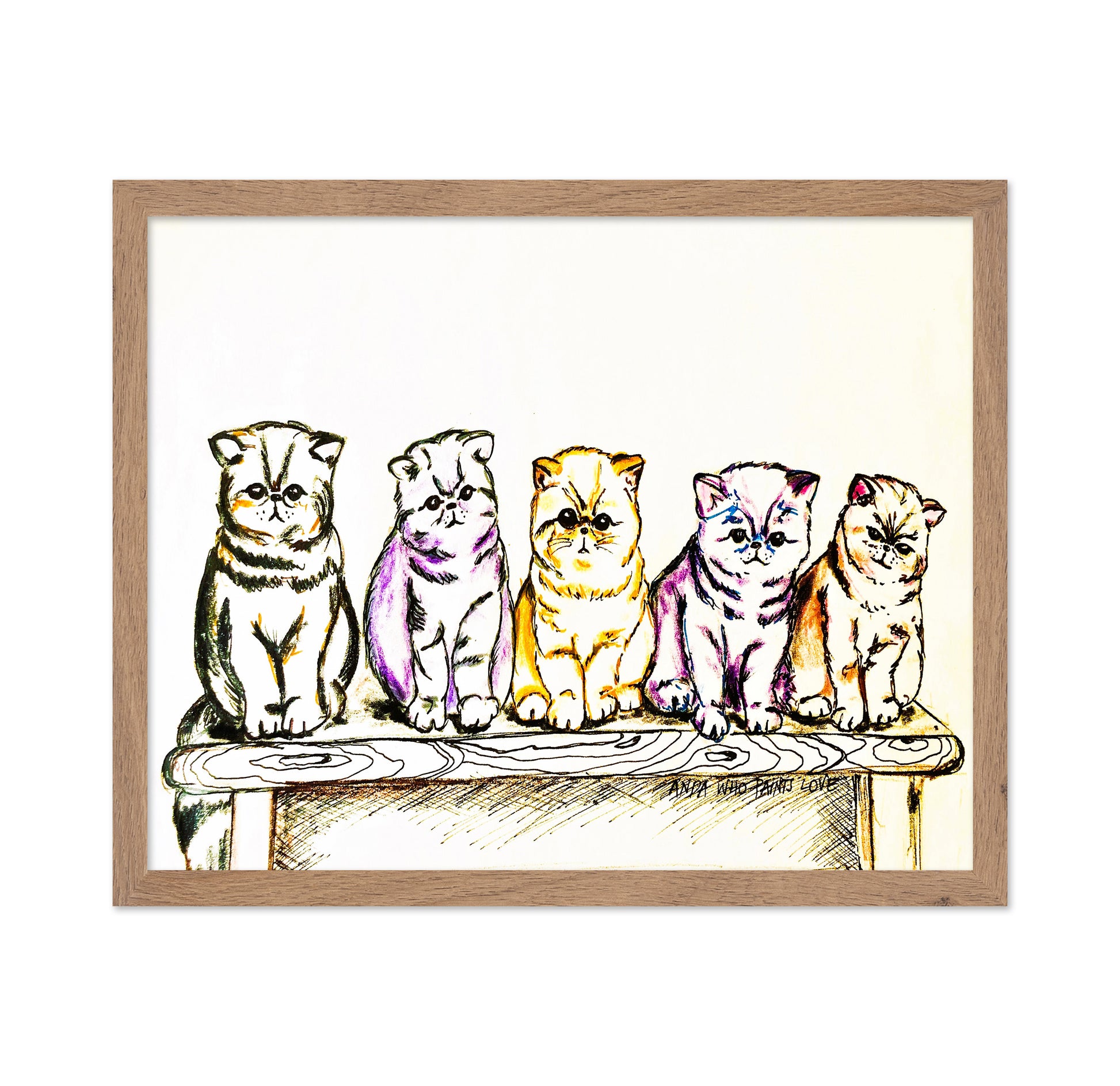 5 Cats