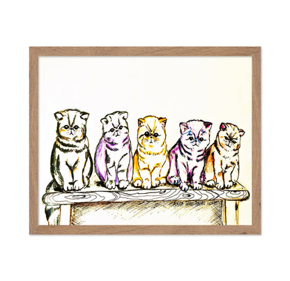 5 Cats