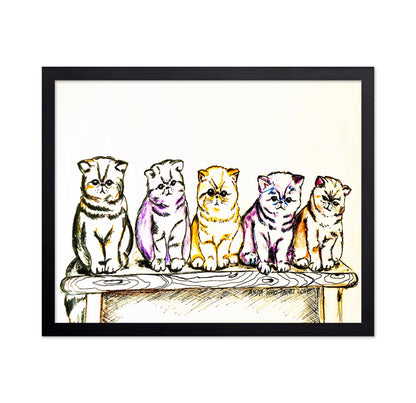 5 Cats