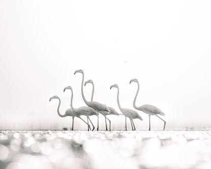In the Silence of Nature