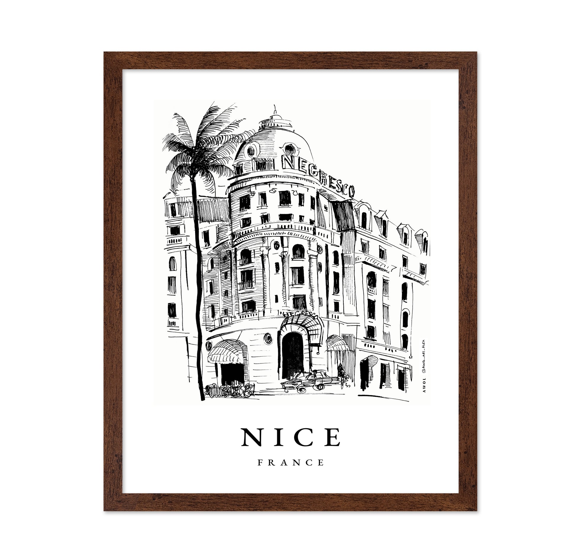 Nice Negresco Architecture
