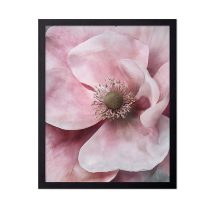 Delicate Pink Flower with Petals