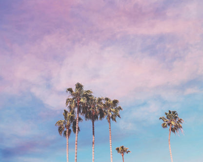Pastel Palm Trees