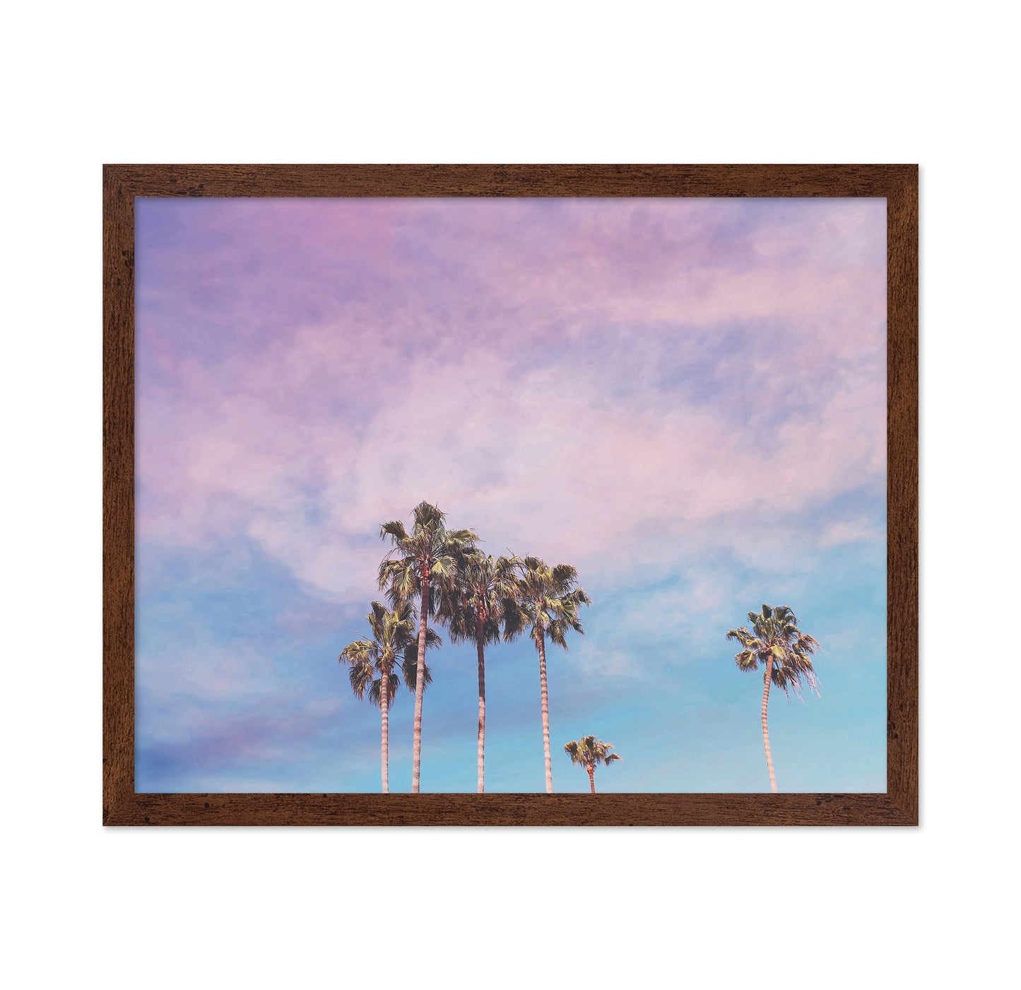 Pastel Palm Trees