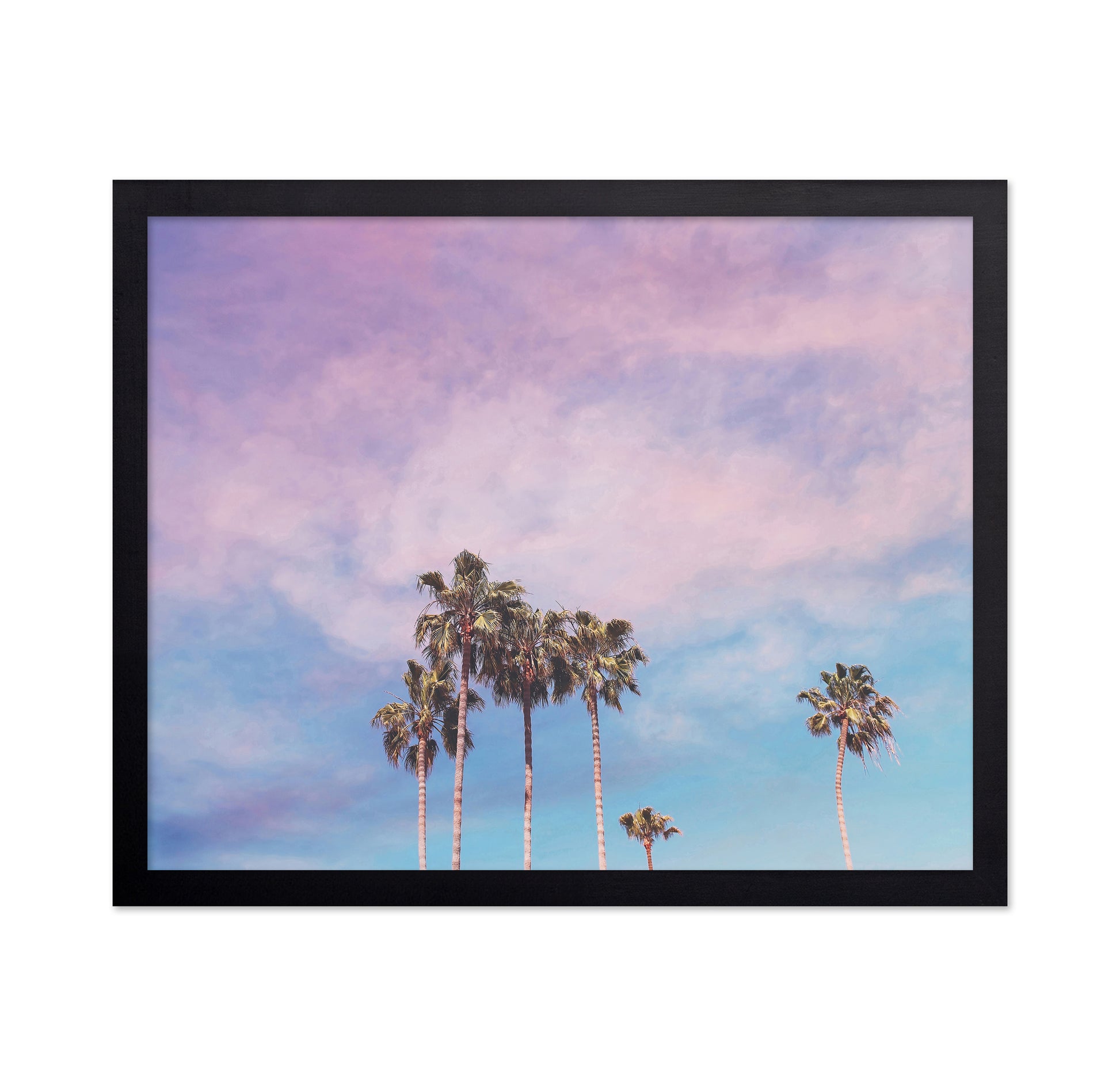 Pastel Palm Trees