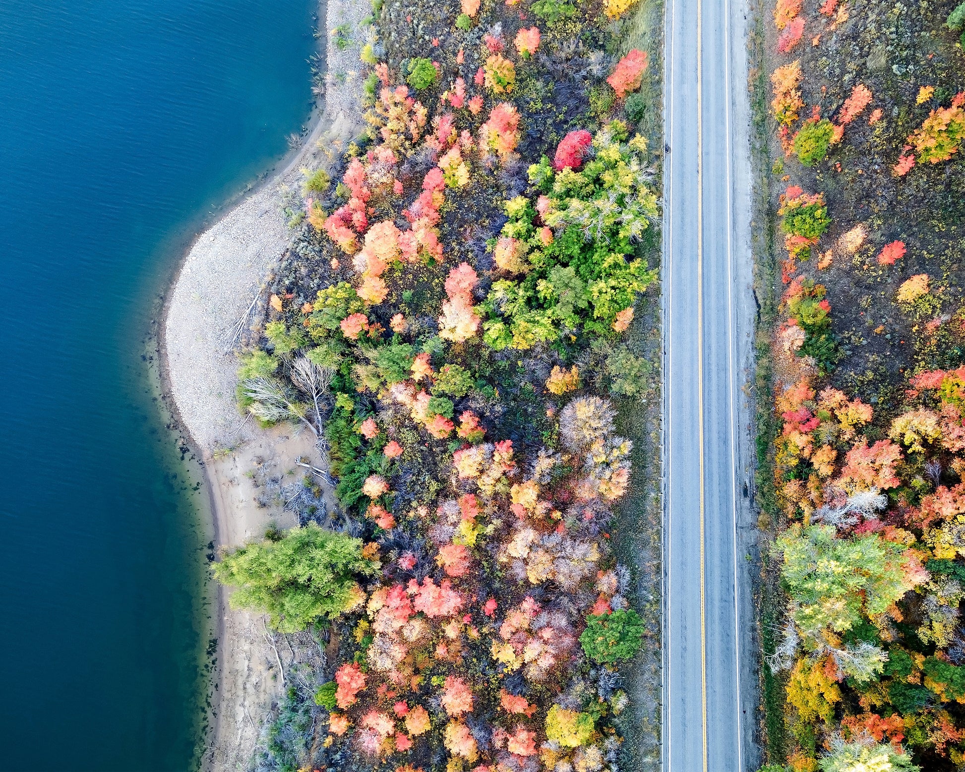 Aerial Fall Road