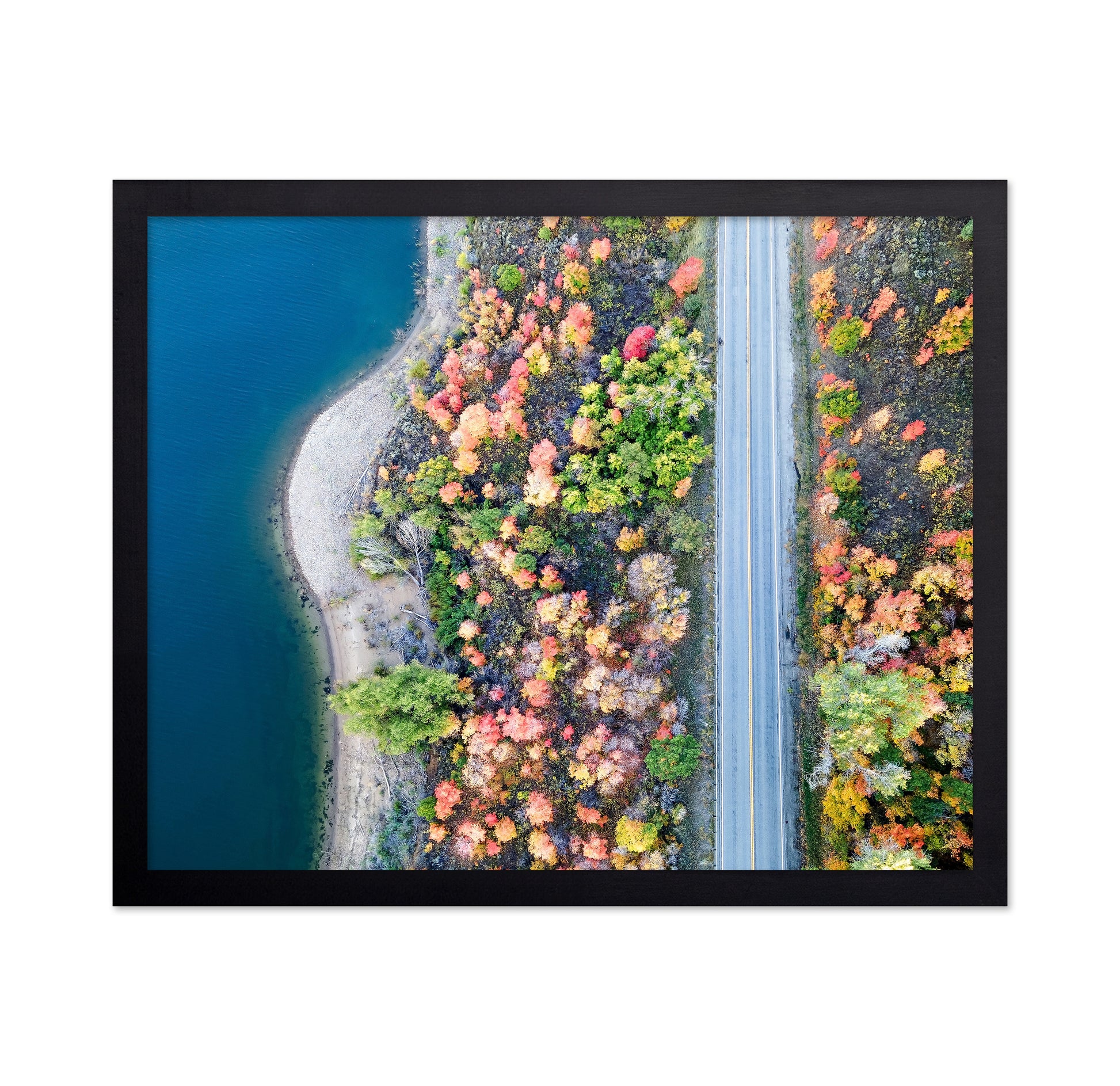 Aerial Fall Road