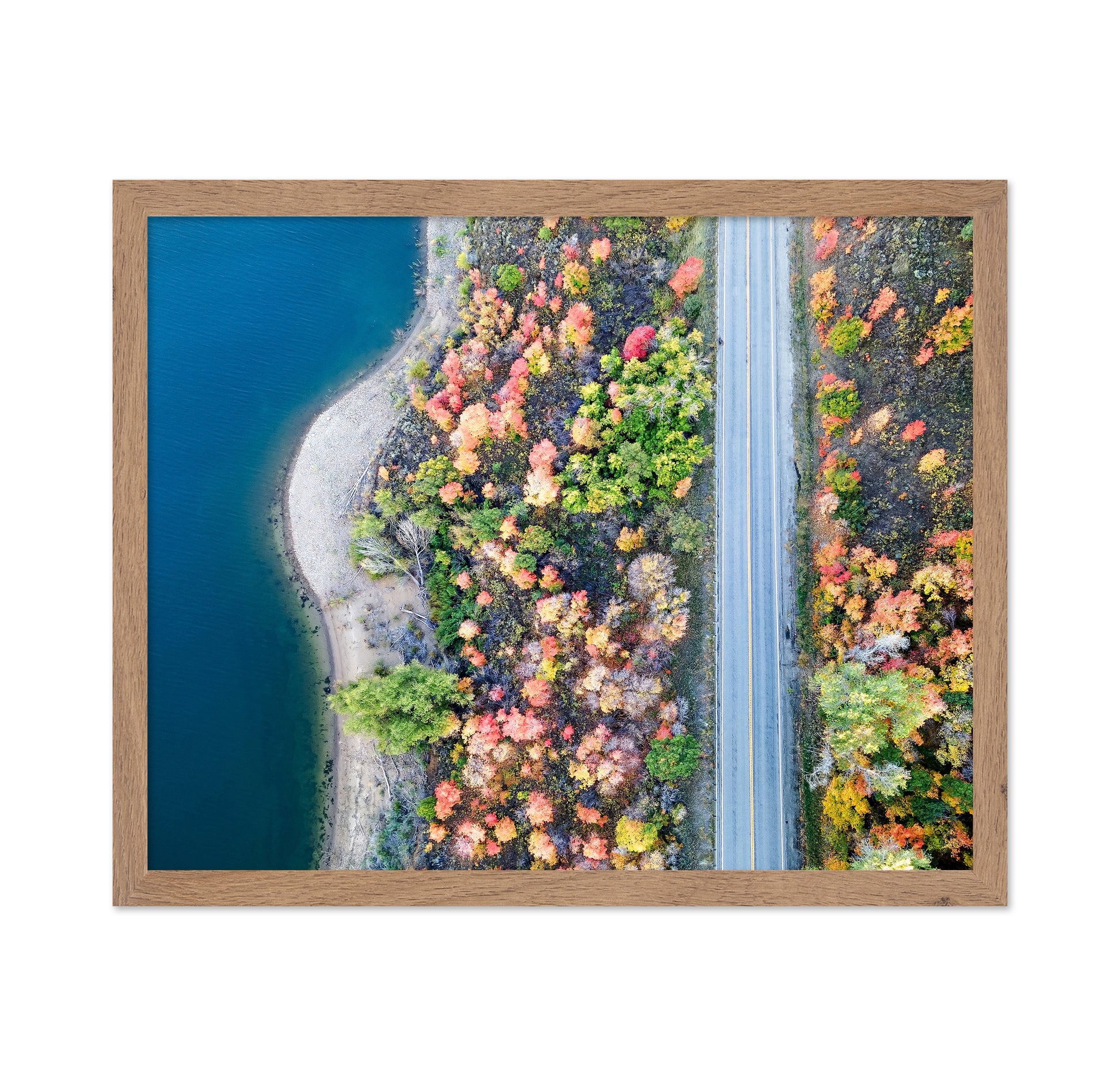 Aerial Fall Road