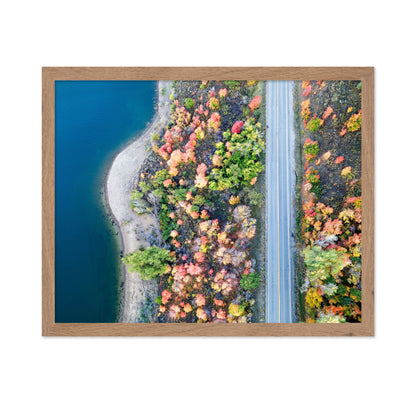 Aerial Fall Road