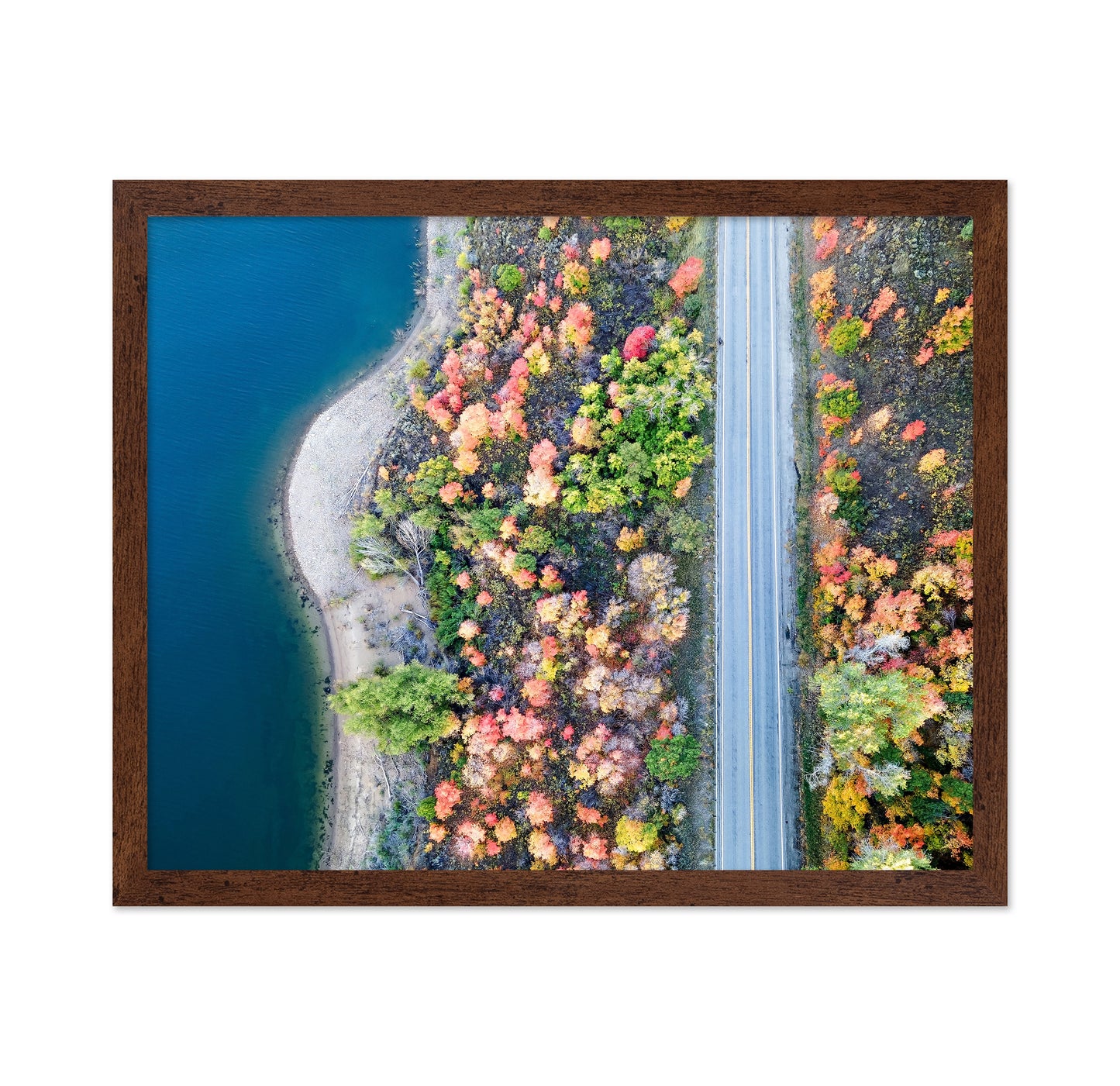 Aerial Fall Road