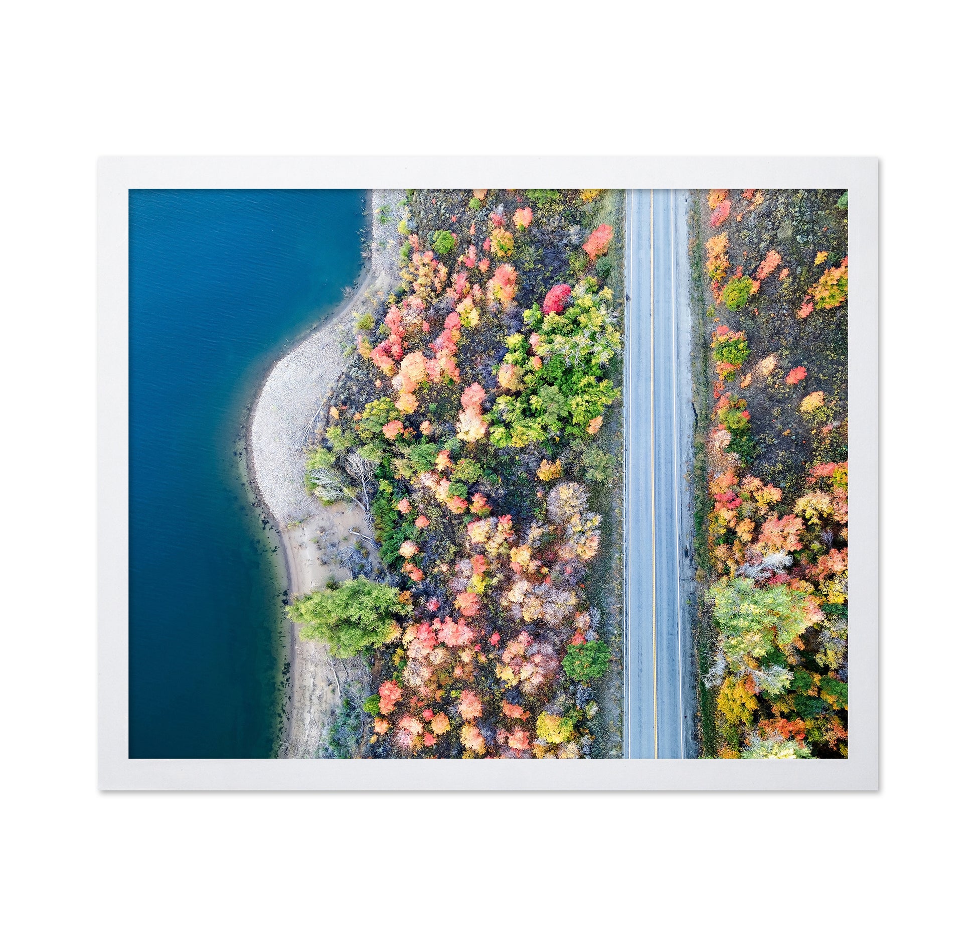 Aerial Fall Road