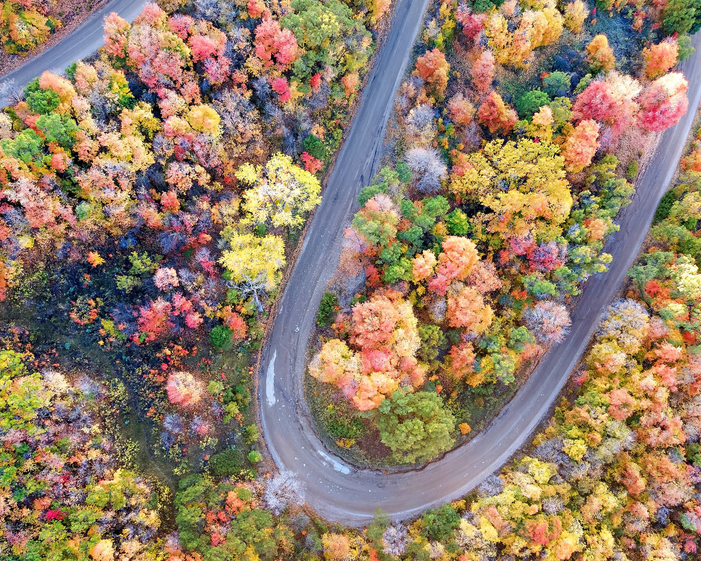 Winding Fall Road from Above