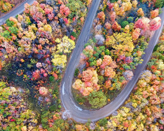 Winding Fall Road from Above