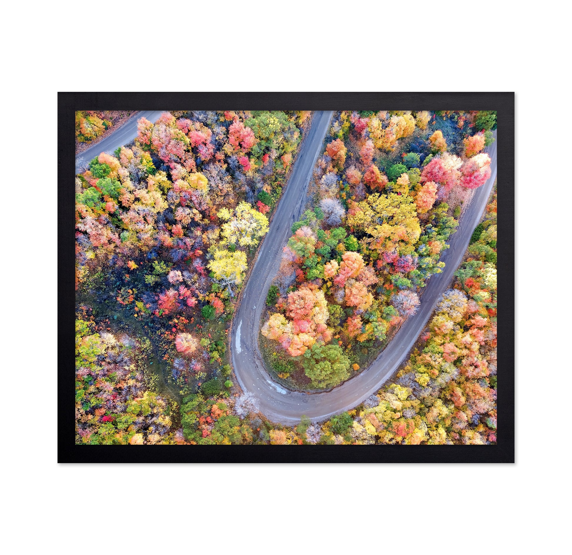 Winding Fall Road from Above