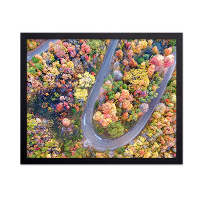 Winding Fall Road from Above