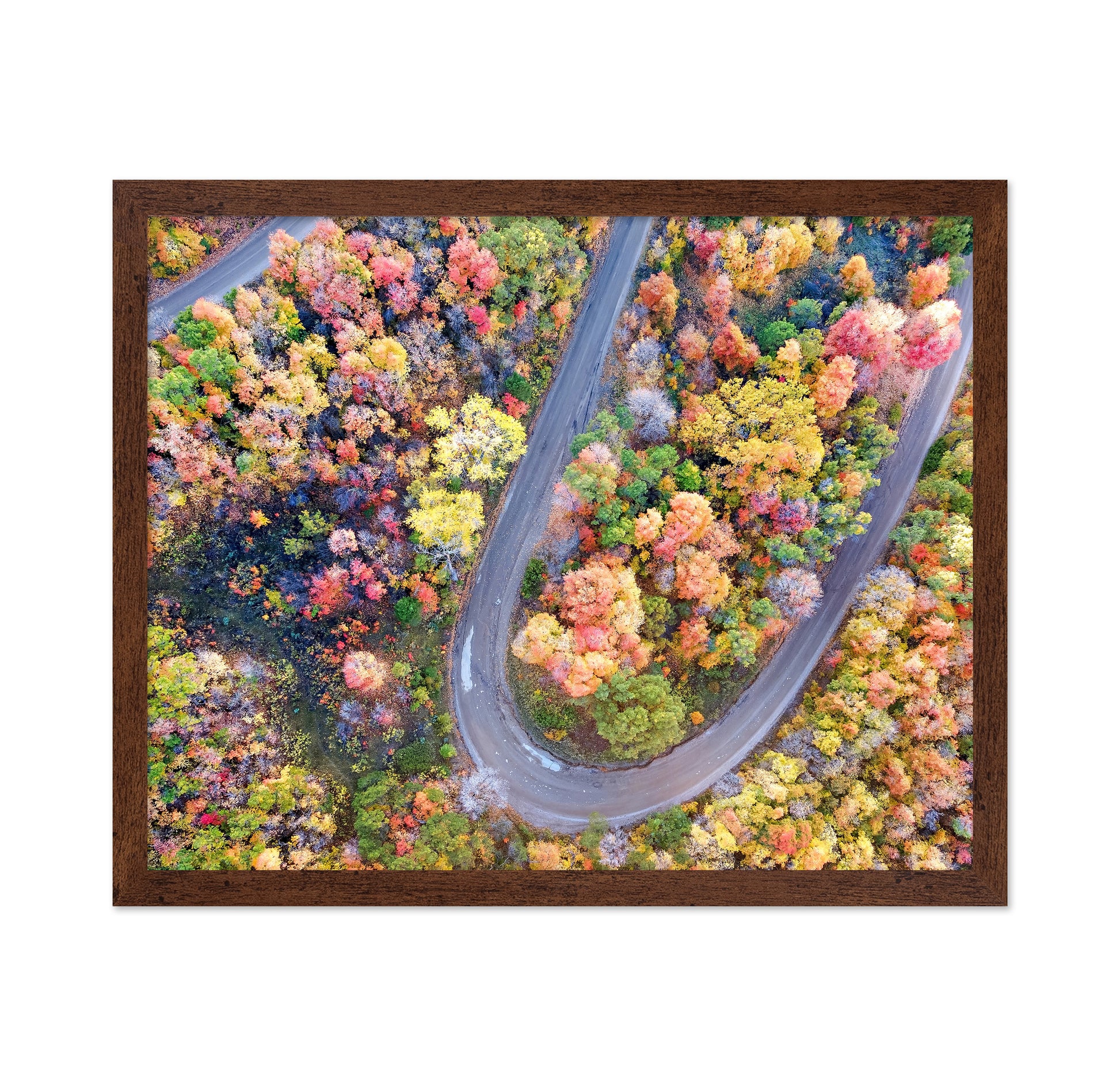 Winding Fall Road from Above