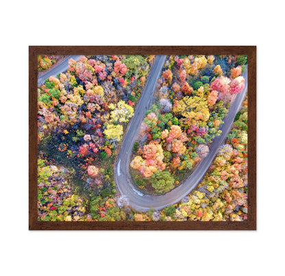 Winding Fall Road from Above